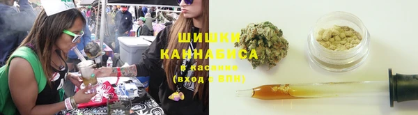 spice Алзамай