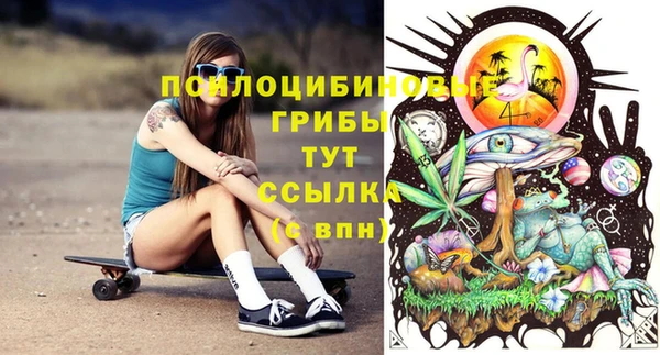 СК Алексеевка