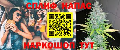 соль ск Пугачёв
