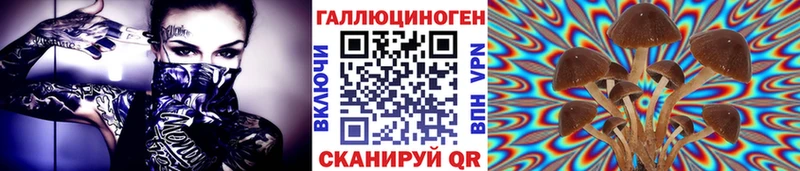 купить наркоту  blacksprut ТОР  Псилоцибиновые грибы Psilocybine cubensis  Южно-Сахалинск 