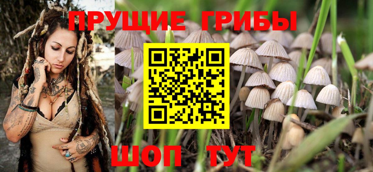 Галлюциногенные грибы мицелий Южно-Сахалинск